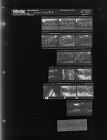 Homes in Frog Pond (14 Negatives), August 24-25, 1965 [Sleeve 91, Folder a, Box 37]